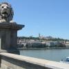 Lion Bridge