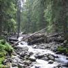 Zakopane