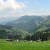 Mt. Rigi